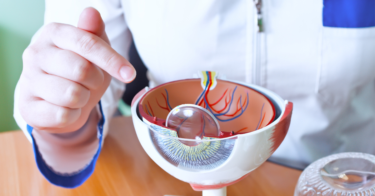 Segmento anterior ojo